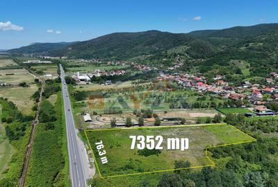 Teren intravilan 7352 mp, cu Deschidere 76.3 m la Șoseaua Națională - Cicârlău - 2