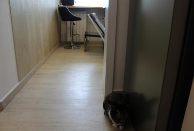 Hop Into Your New Home – 2-Room Apartment with Bubu & Babu! - 20