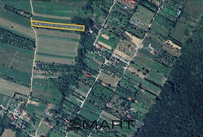 Teren extravilan 3200mp zona Tropinii Vechi - 3