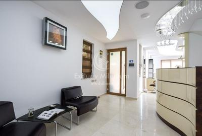 Vila Clinica /Salon de infrumusetare Lacul Tei  /Parcul Circului birouri - 3