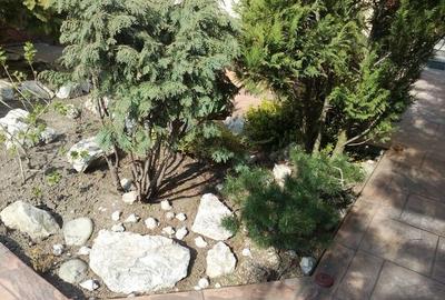 Izbiceni-Damaroaia-Casa Presei,P+E+M,zona verde,aerisita,casa luminoasa,6 camere - 8