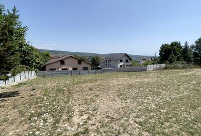 Teren Intravilan de Vis în Bascov, la Marginea Pădurii! - 4