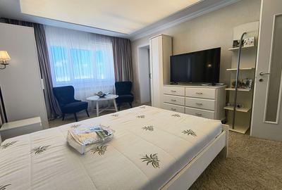 Garsoniera Ion Mihalache- Titulescu- Banu Manta - 2