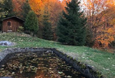 Vand cabana deosebita cu 4 cam. in mijlocul naturii,statiunea Bucin - 9