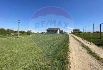 Teren intravilan construibil – 450 mp | Str. Crangului, Paulesti - 3