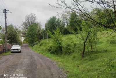 Teren intravilan 4383 Brad Hd.,poziție excelentă, utilități complete, priveliște - 2