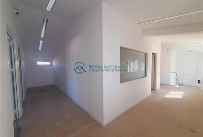 Royal Imobiliare - Inchiriere Spatiu Industrial zona Vest - 7