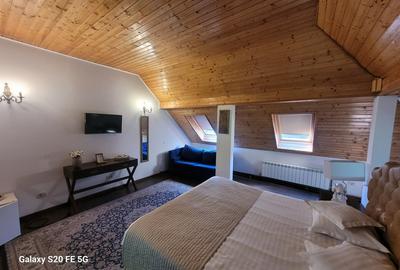 VILA D+P+E+M DE VANZARE IN SINAIA - 10
