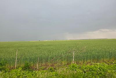 Teren de vanzare in zona Branesti - 1