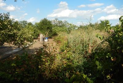 Calugareni-Branistari- casa 4 camere, teren 1965 mp, curent, put, libera,69900 € - 27