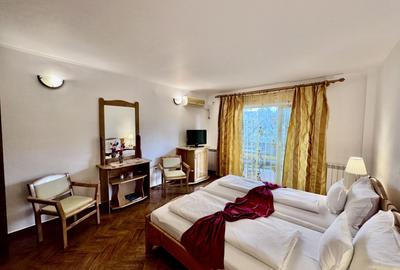 Hotel 20 camere Delta Dunarii 50 m deschidere teren 6000 mp acces auto - 10