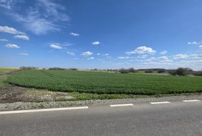 Teren intravilan in Vadu, Corbu, cu dubla deschidere la drumul Principal - 4