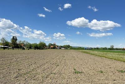 Teren intravilan Zona Metropolitana Brasov - 6