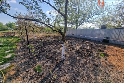 Casa individuala de vanzare cu 7 camere - Recas - 14