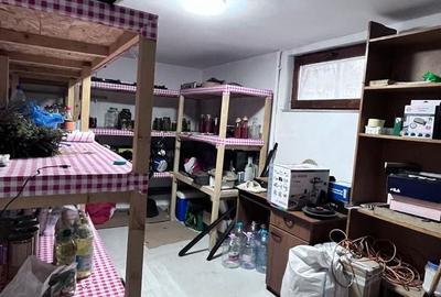 Casa de vanzare in Micesti pe 2 nivele si demisol cu garaj - 11