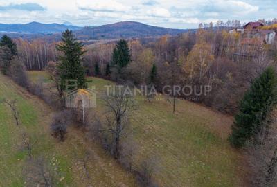 Teren intravilan, cu PUZ, Bran Tohanita,  SE ACCEPTĂ ȘI SCHIMB - 7