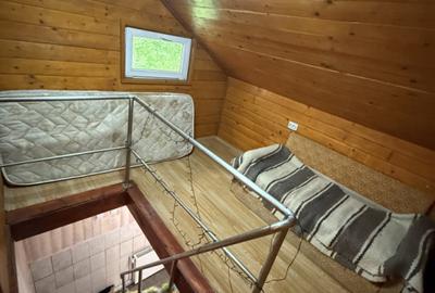 Cabana 5 dormitoare - 138.6 mp utili - 386 mp teren - Baisoara! - 10