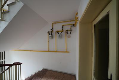 Apartament 4 camere Giugiului, Parc Tineteretului - 13