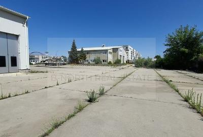 Distribuție /productie 3800 mp -constructie /14.000 mp curte. - 8