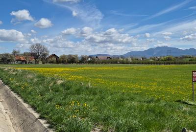 Teren intrare Bran, aproape de Penny, la Drumul European - 7