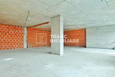 Spațiu comercial generos, ideal pentru investiție, în complex Ared – Micălaca - 2