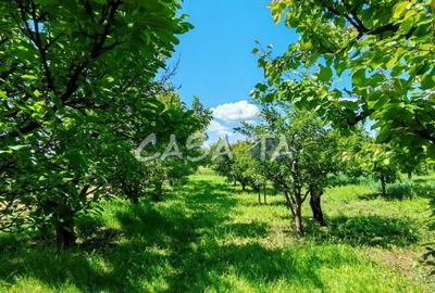 Casa situata in Samarinesti, sat Valea Bisericii - 14