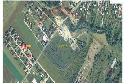 Domnesti- vanzare teren intravilan 10.000mp/ Soseaua Curtea Domneasca - 6