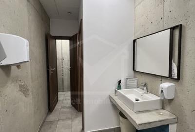 Spatiu versatil 220mp, parcul industrial Tetarom I - 16