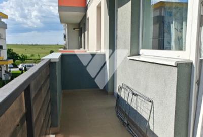 Apartament 2 camere Turnișor - 9