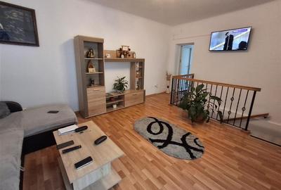 Casa formata din 2 apartamente pivnita zona Turnisor - 21