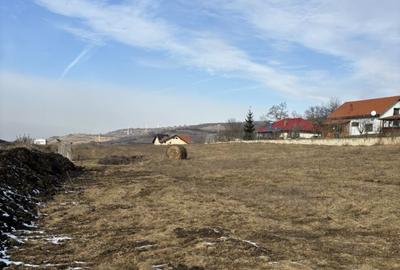 Teren Construcții intravilan de 2300 mp, în Popești