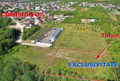 AZURA Imobiliare - Vanzare teren Smeura, zona verde