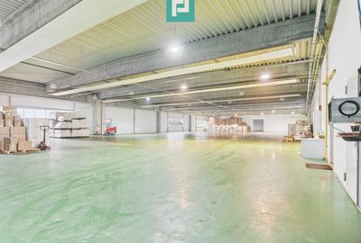 Hală industrială de 4.155 mp Calea Borșului - 8