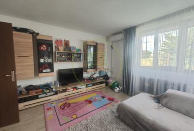 Casa 5 camere, teren 481 mp, Preajaba, com. Malu Mare, zona Damila. - 2