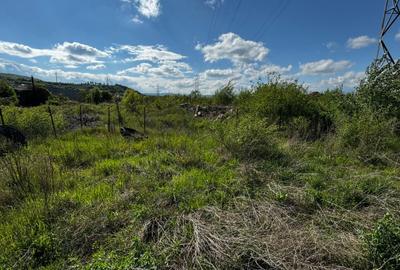 Teren Construcții intravilan de 3500 mp, în Luna de Sus