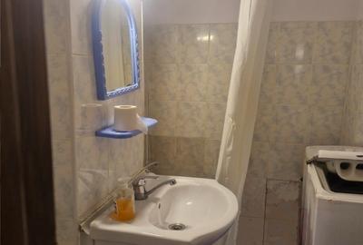 Garsoniera Lapus - INTIM - 4