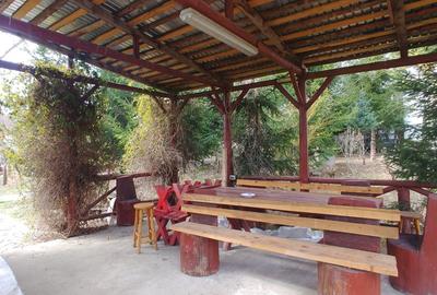 Vila/Pensiune,casa administrator,teren plat 2000Mp - 20