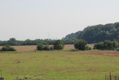 Clinceni-Ordoreanu intre paduri