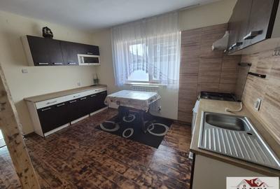 Casa de vanzare in Vintu de Jos - 3