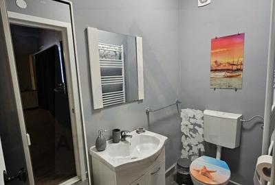 Garsoniera regim hotelier sau spatiu comercial 46 mp utili Terezian - 2