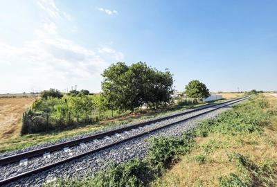 Ferma si casa de vanzare - teren intravilan, la 20min de Constanta! - 27