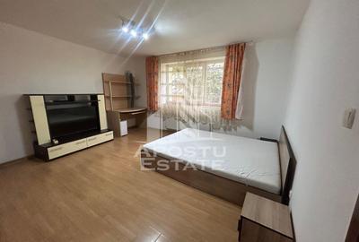 Apartament 2 camere de inchiriat, zona Piata Crucii/Soarelui Timisoara - 4