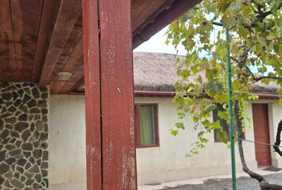 Exclusivitate-Vadu, zona centrala, casa 75mp, teren 1917 mp/31ml deschidere - 8