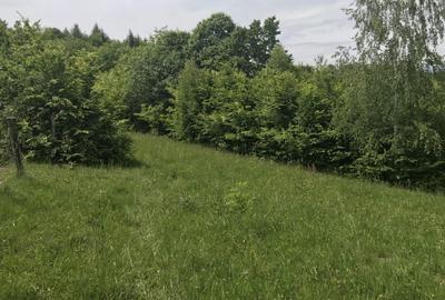 Vand teren in Albestii de Muscel faneata-pasune, partial impadurit - 5