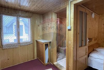 Casa de vacanta Predeal, langa padure, istoric airbnb - 8
