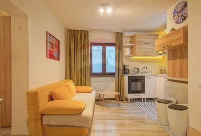 Casa cu 5 studiouri independente, terasa rooftop, vedere montana - 39