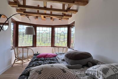 Conac 10 camere | renovat integral | Arefu | Baraj Vidraru - 33