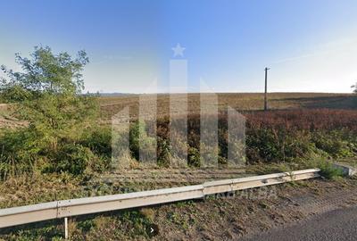 Teren extravilan | Agricol | 15000 mp | 40ml deschidere | Aurel Vlaicu - 3