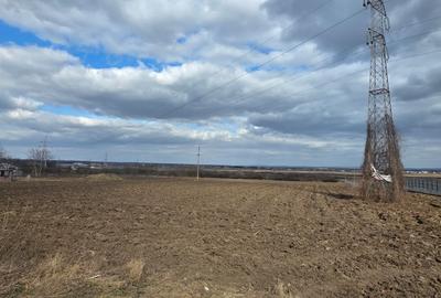 Teren intravilan 6.200 mp –Hemeiuș - 1