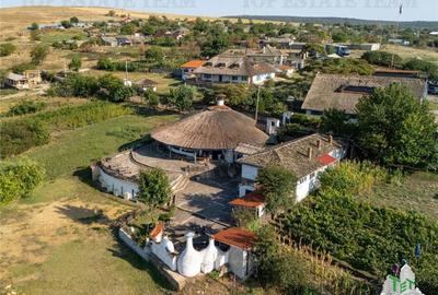 Resort Delta Dunarii | 21 camere | 18 unitati cazare | aproape de Marea Neagra - 1